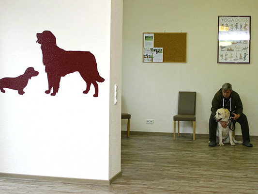 Wartebereich Hunde